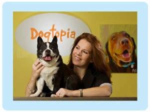 dogtopia2.jpg