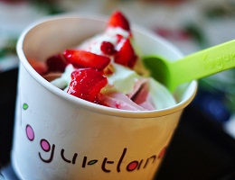 yogurtland.jpg